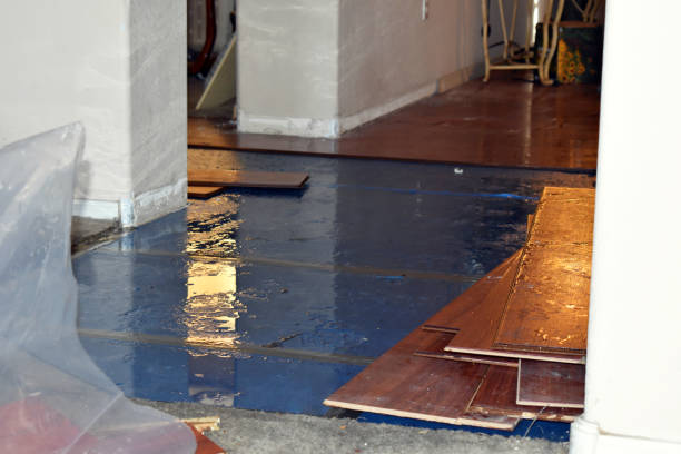 Professional Flood Cleanup technician working in Thorndike, ME
